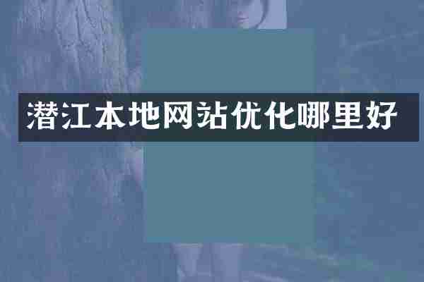 潜江本地网站优化哪里好