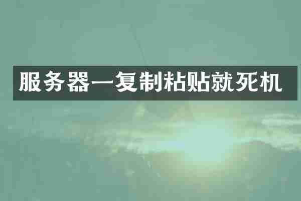 服务器一复制粘贴就死机