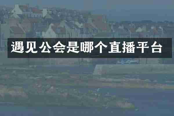 遇见公会是哪个直播平台