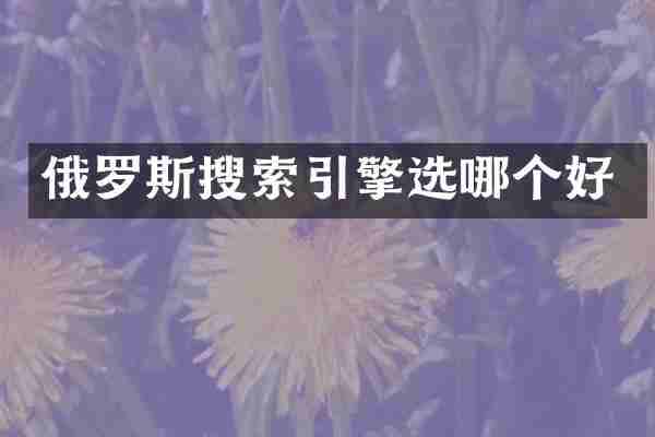 俄罗斯搜索引擎选哪个好