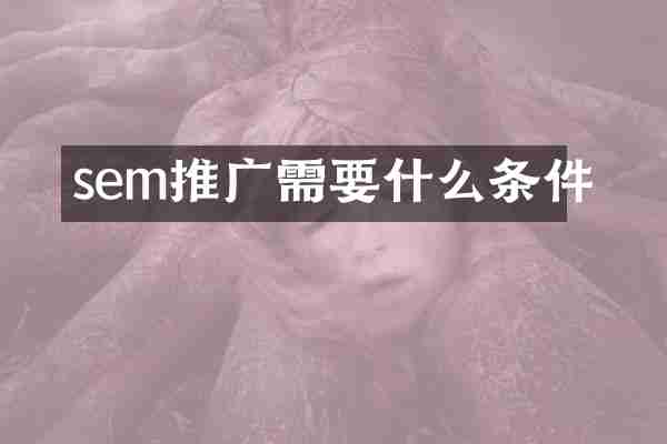 sem推广需要什么条件