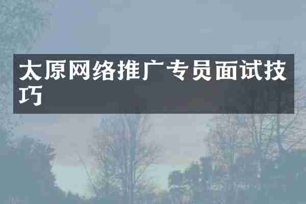 太原网络推广专员面试技巧