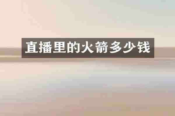 直播里的火箭多少钱