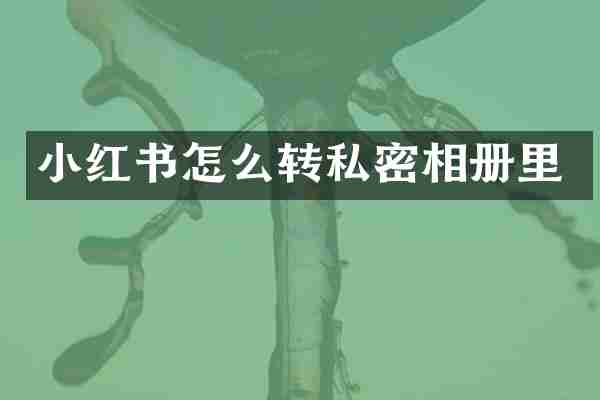 小红书怎么转私密相册里
