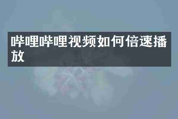 哔哩哔哩视频如何倍速播放