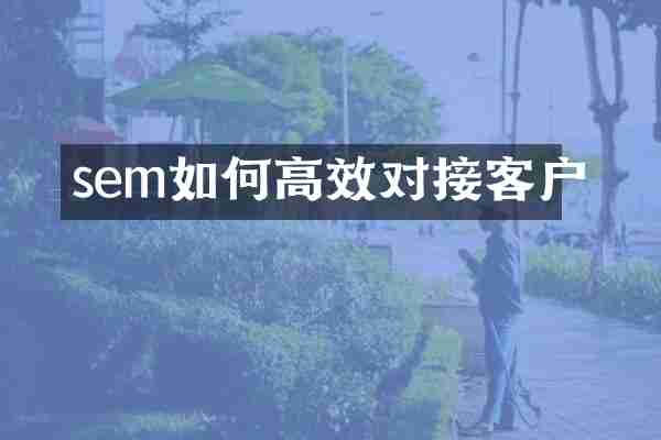 sem如何高效对接客户