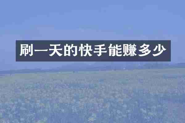 刷一天的快手能赚多少
