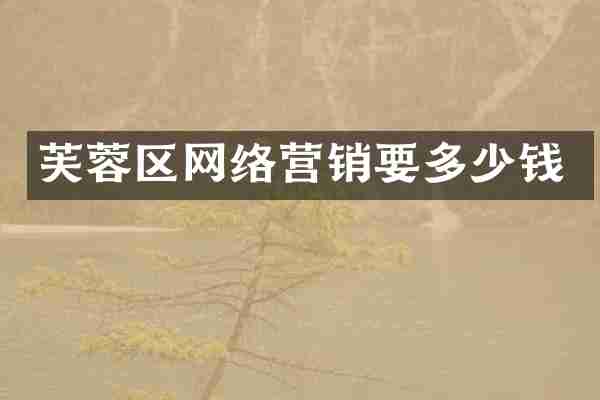 芙蓉区网络营销要多少钱