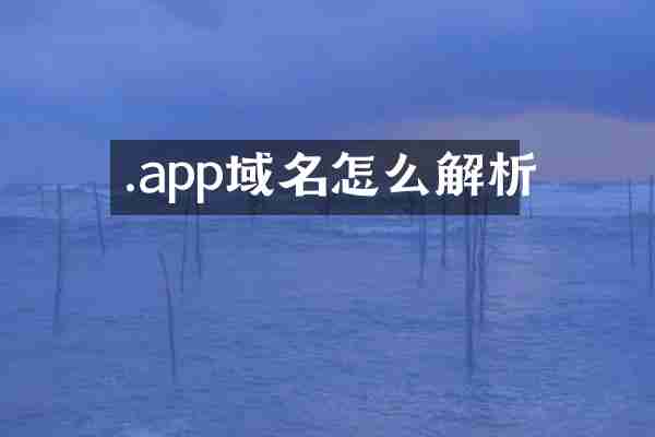.app域名怎么解析
