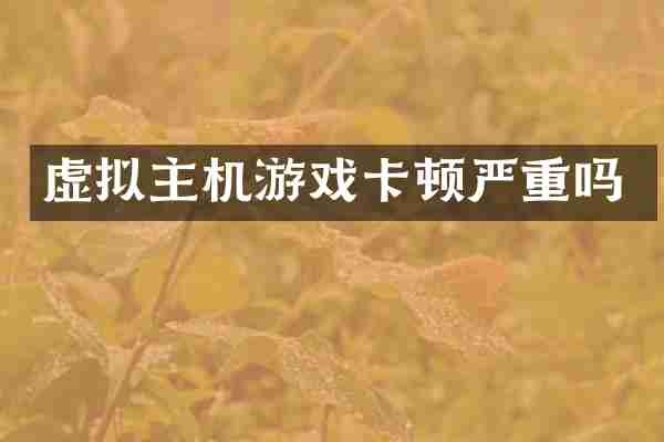 虚拟主机游戏卡顿严重吗