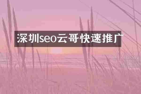 深圳seo云哥快速推广