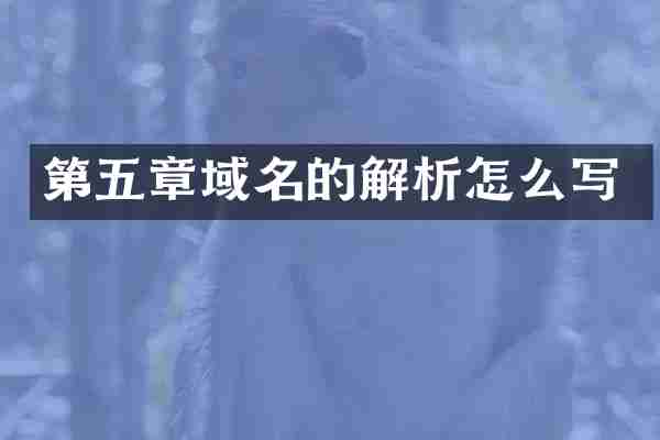 第五章域名的解析怎么写