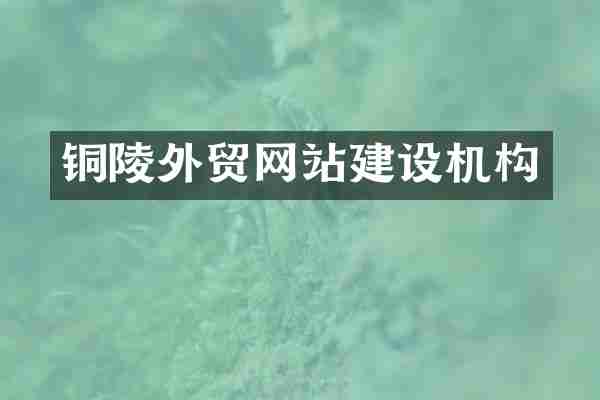 铜陵外贸网站建设机构