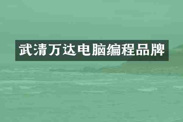 武清万达电脑编程品牌
