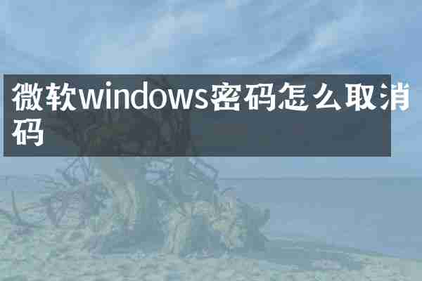 微软windows密码怎么取消密码