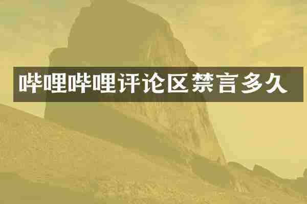 哔哩哔哩评论区禁言多久