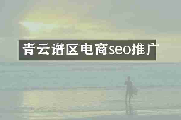 青云谱区电商seo推广