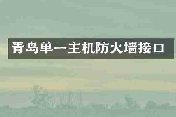 青岛单一主机防火墙接口
