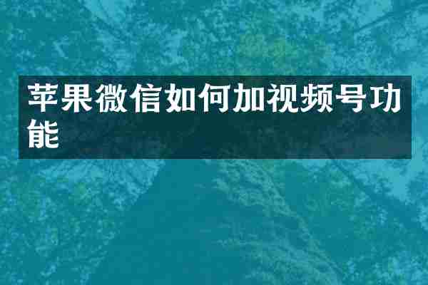 苹果微信如何加视频号功能