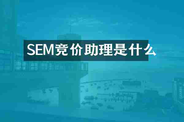SEM竞价助理是什么
