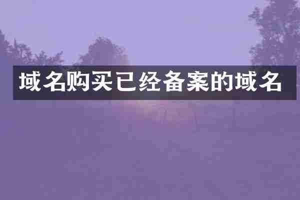 域名购买已经备案的域名