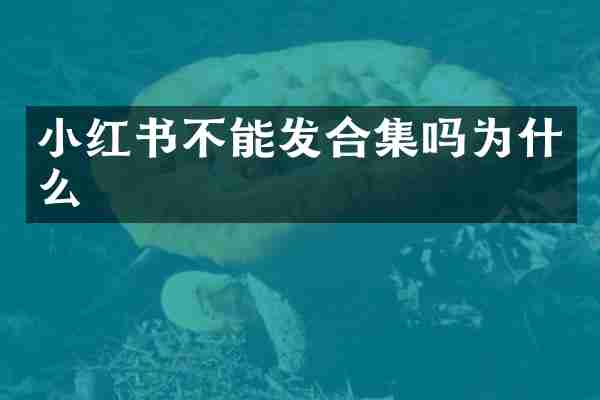 小红书不能发合集吗为什么