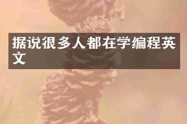 据说很多人都在学编程英文