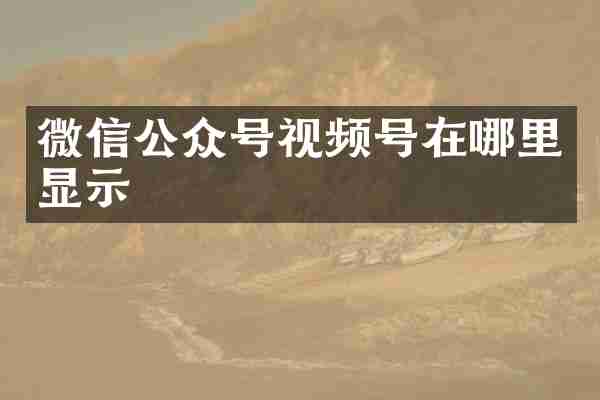 微信公众号视频号在哪里显示