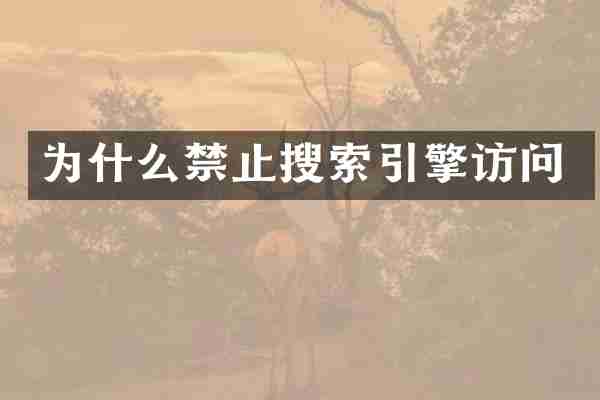 为什么禁止搜索引擎访问