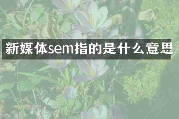 新媒体sem指的是什么意思
