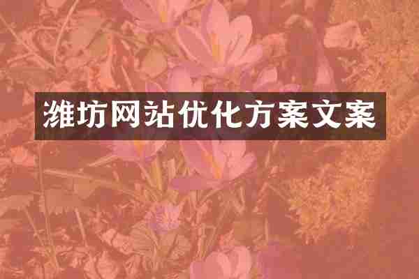 潍坊网站优化方案文案