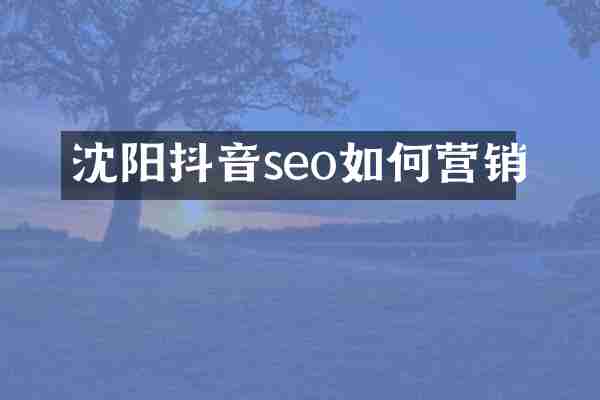 沈阳抖音seo如何营销