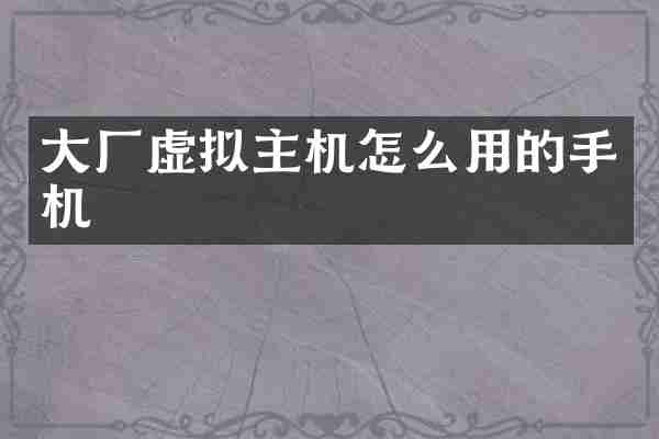 大厂虚拟主机怎么用的手机