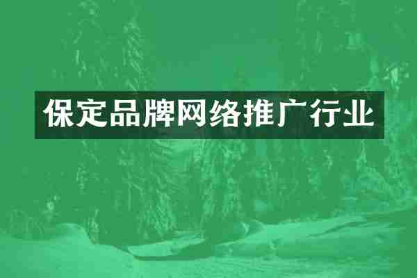 保定品牌网络推广行业