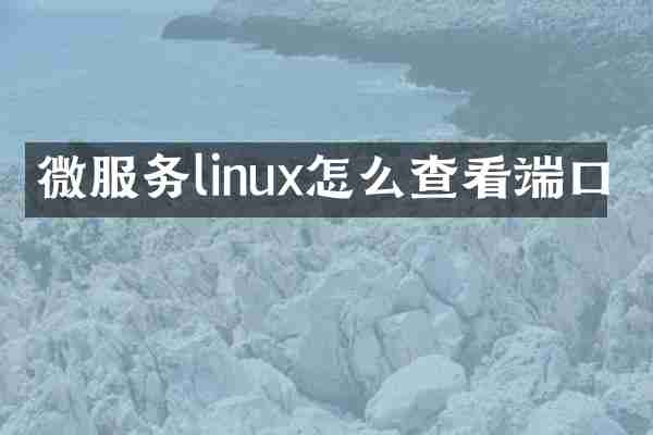 微服务linux怎么查看端口