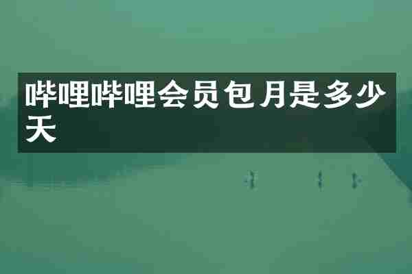 哔哩哔哩会员包月是多少天