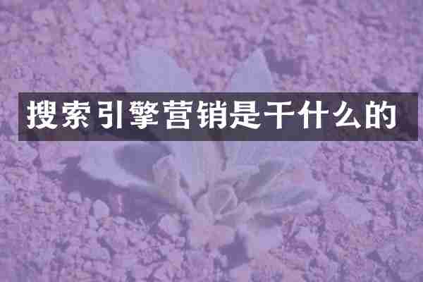 搜索引擎营销是干什么的