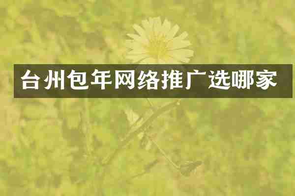 台州包年网络推广选哪家