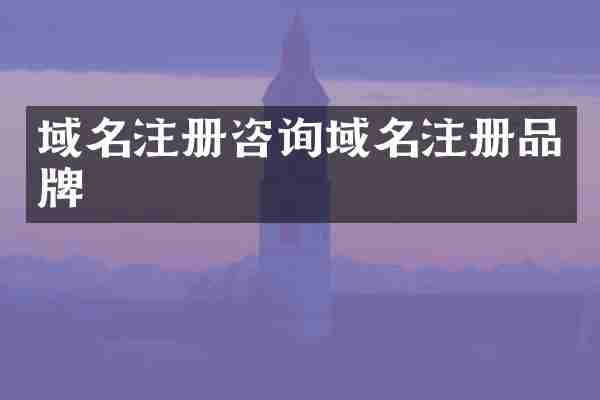 域名注册咨询域名注册品牌