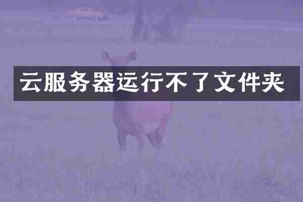 云服务器运行不了文件夹