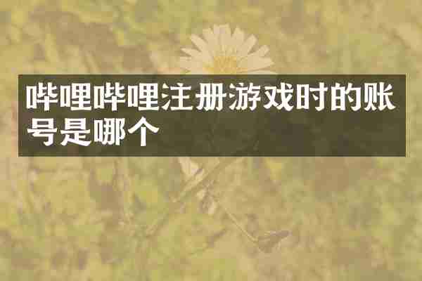 哔哩哔哩注册游戏时的账号是哪个