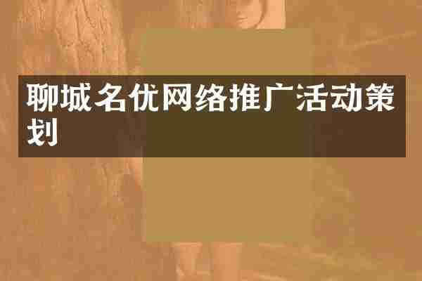 聊城名优网络推广活动策划