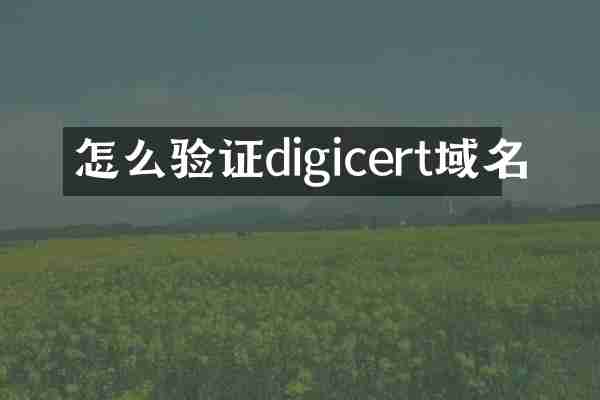 怎么验证digicert域名