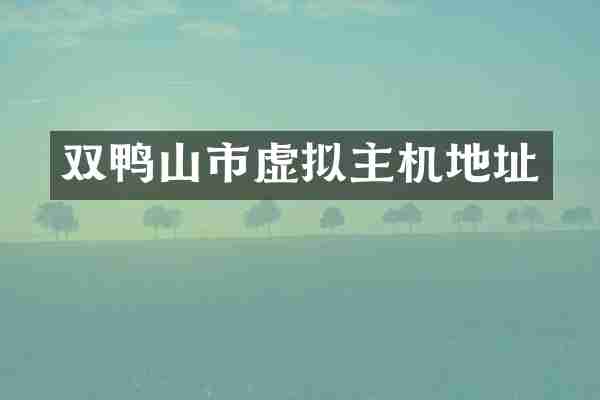 双鸭山市虚拟主机地址