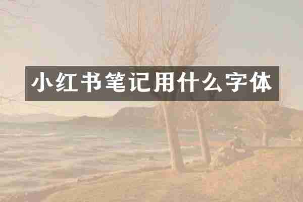 小红书笔记用什么字体