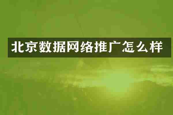北京数据网络推广怎么样