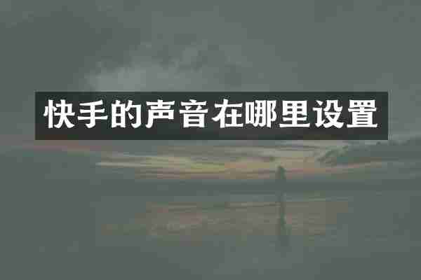 快手的声音在哪里设置