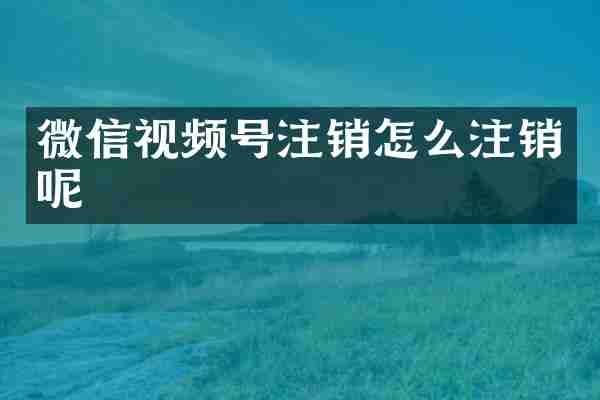 微信视频号注销怎么注销呢