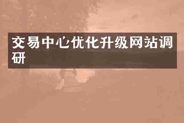 交易中心优化升级网站调研