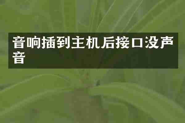 音响插到主机后接口没声音